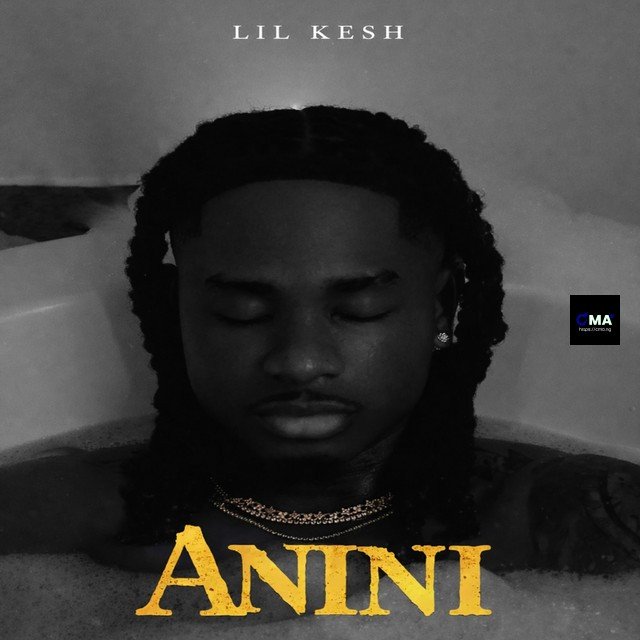 Lil Kesh - Anini (Thief)